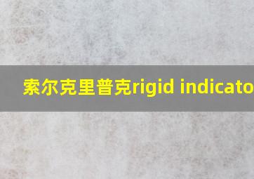 索尔克里普克rigid indicator